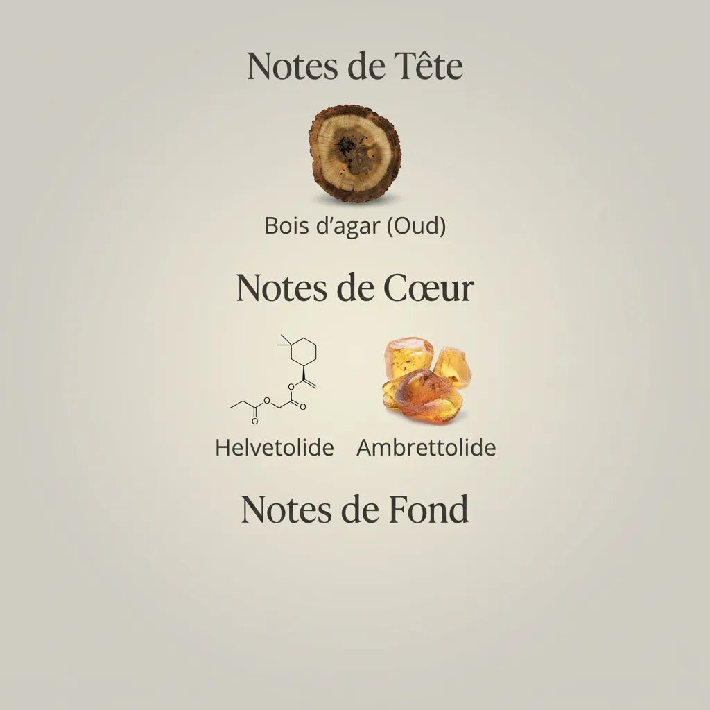 Parfum Pur Oud unisexe