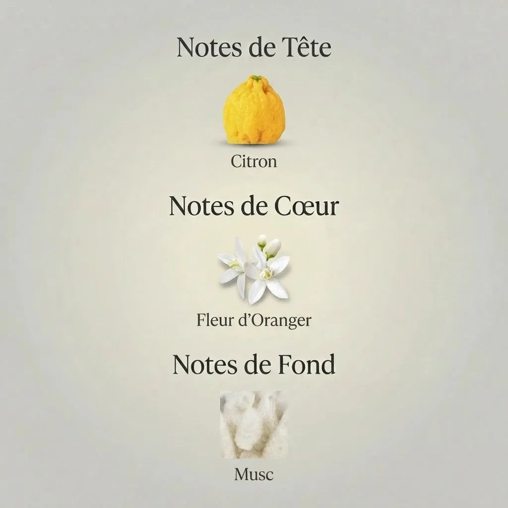 Parfum Sun Song unisexe